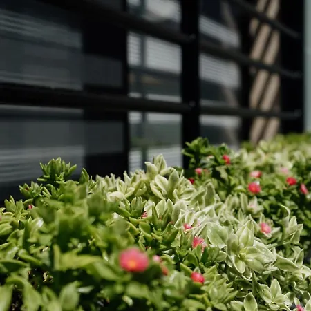 아파트 Domus - Orazio - 바리