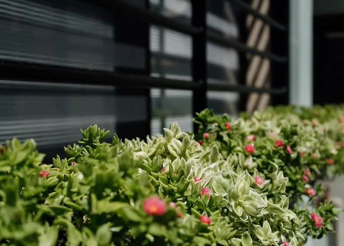 Apartment Domus - Orazio - Bari